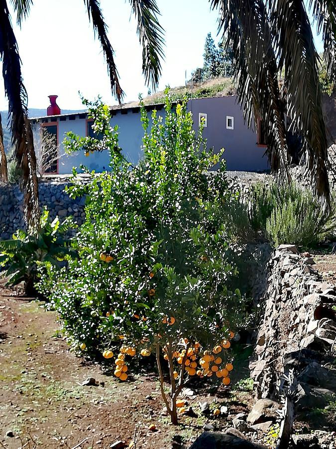 Casa La Montana Villa El Cedro Exterior foto